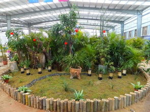 四川省农业科学院园艺所精彩亮相第九届中国三亚国际热带兰花博览会