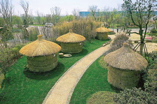 园博会畅游全攻略 园艺之美尽收眼底