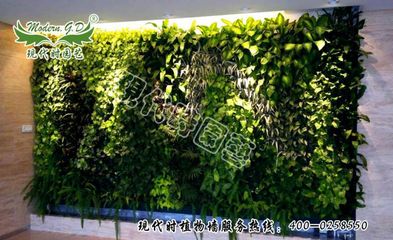 现代时园艺 专业打造哈尔滨植物墙与绿植墙施工服务