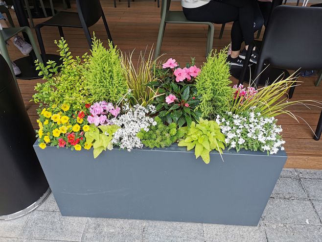 打造迷人庭院 花箱配置的园艺指南