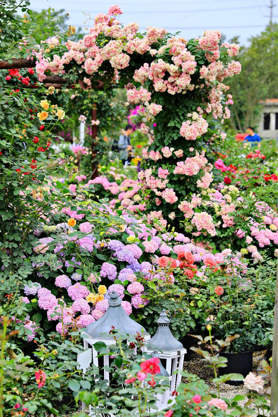 海蒂的花园 一方自然与心灵的栖息地
