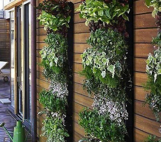 赶紧收藏啦 国外立体绿化经典案例精选