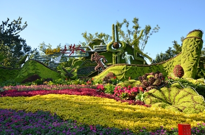 “三带八桥十二园多点”,济南1100余万盆鲜花迎国庆