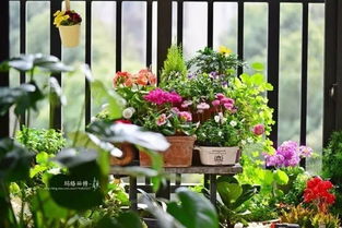 园艺界又纳新宠 园艺疗法园 怎么玩