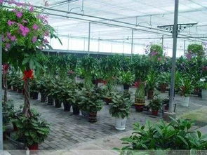 再见了，我们的大连西郊园艺超市