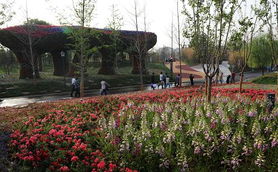 西安园艺博览会园区今日盛大开幕 领略自然与园艺之美