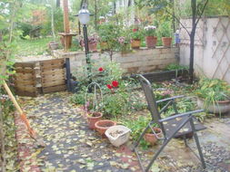 探秘园艺图库 指尖上的绿色灵感宝库