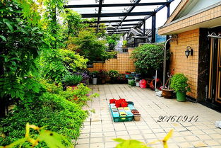 从地摊到论坛 家庭园艺的数字化变迁