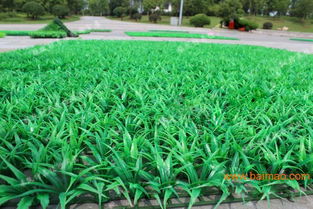 北京球场假草坪批发指南 生产厂家与价格解析