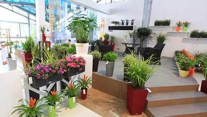 国外苗木花卉领域的十大先进技术探析